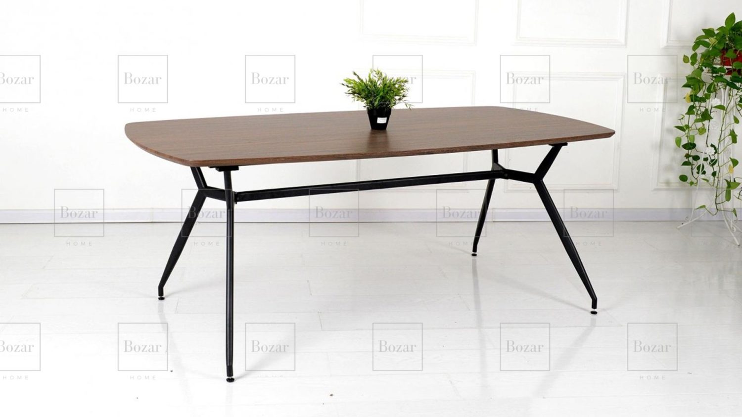 Table Zebra